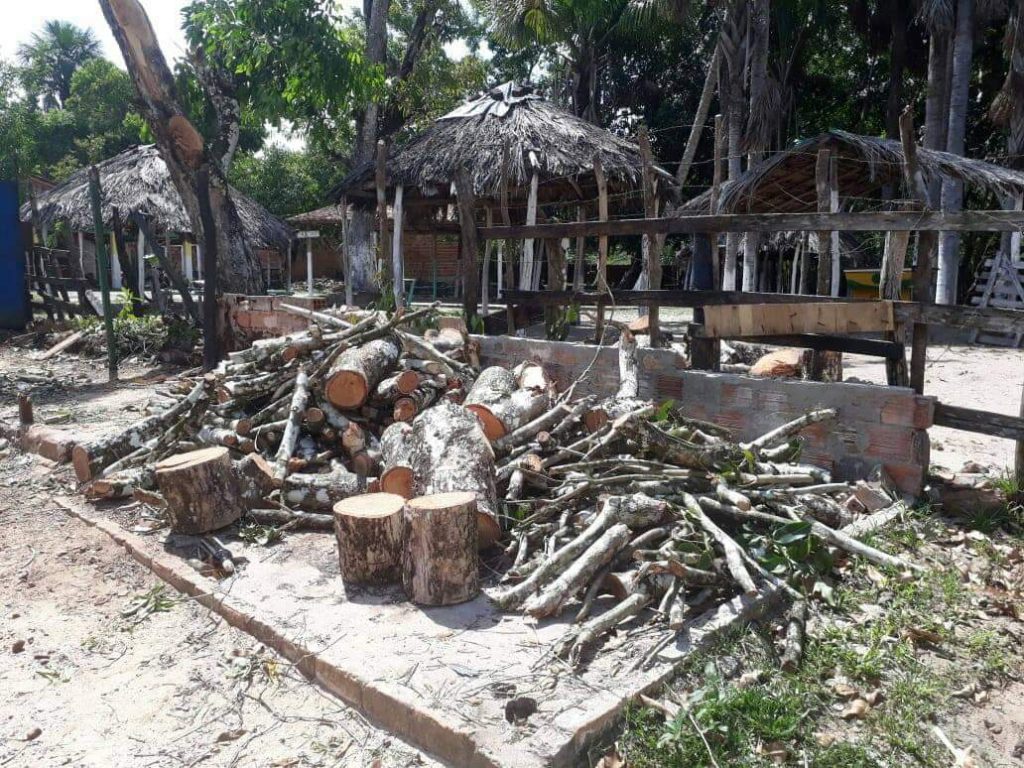 Morros – Internauta denuncia corte descontrolado de árvores na “revitalização” do Una