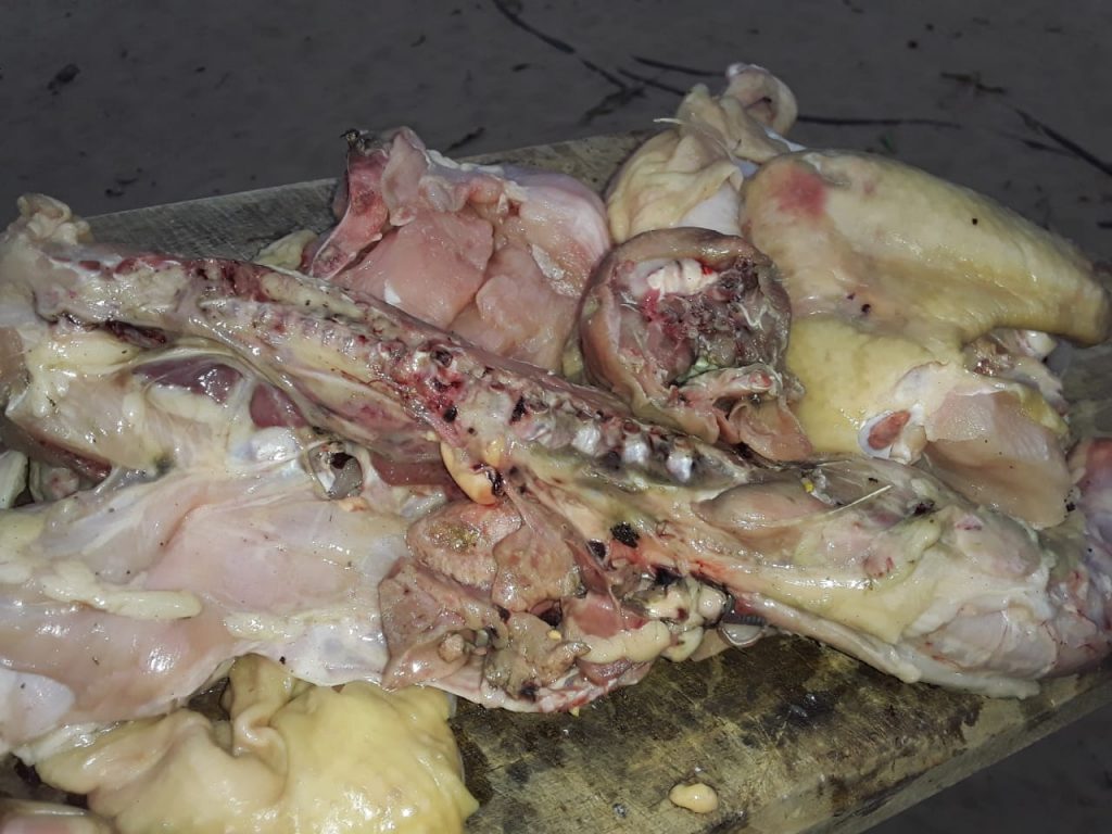 CACHOEIRA GRANDE – Mães de alunos denunciam doação de galinha podre