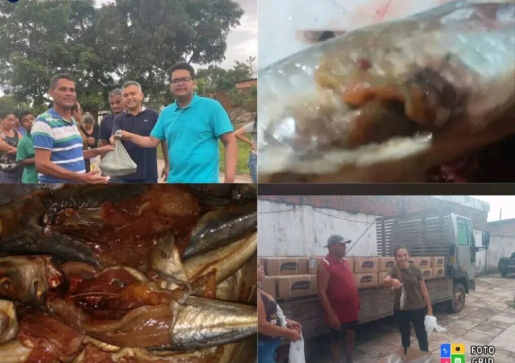 Ex-vereadora e pré-candidato distribuem peixe estragado à população de Bacabeira