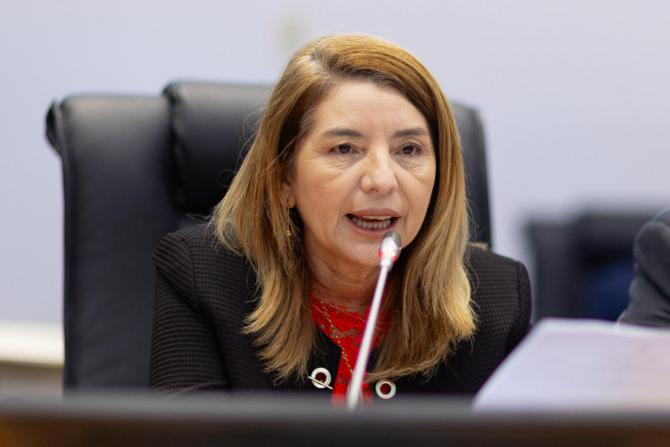 Iracema Vale anuncia criação de Comissão Especial para acompanhar caso de navio encalhado em São Luís